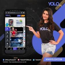 YOLO247